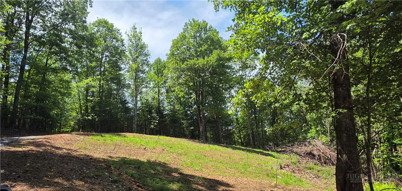 Image number 2 for the current listing