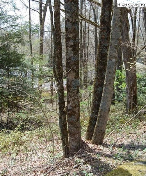 Image number 1 for the current listing