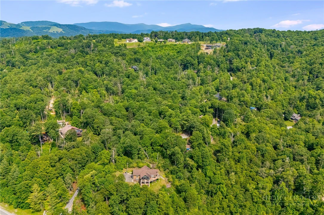 Image number 2 for the current listing