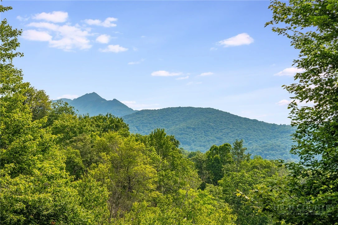 Image number 3 for the current listing