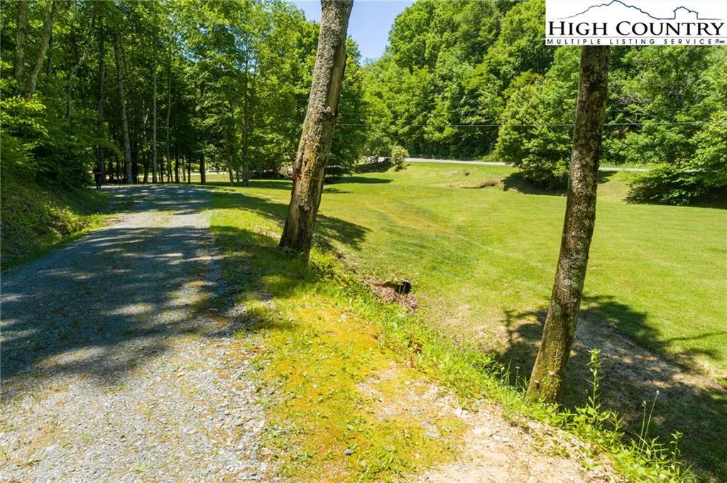 Image number 3 for the current listing