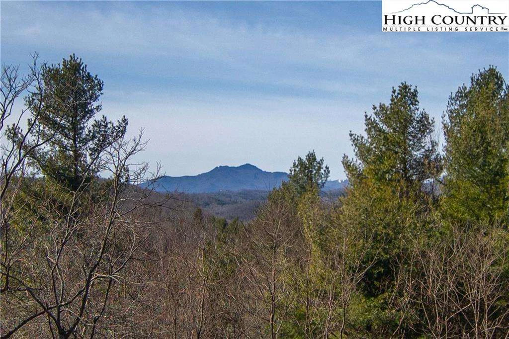 Image number 1 for the current listing