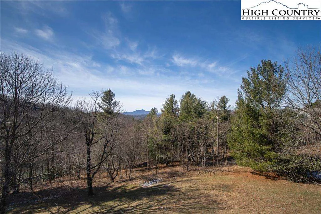 Image number 8 for the current listing