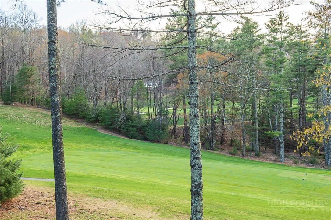 Image number 14 for the current listing