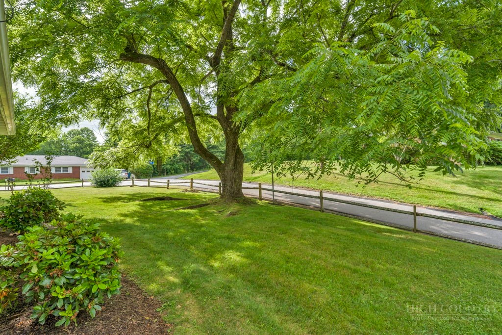 Image number 2 for the current listing