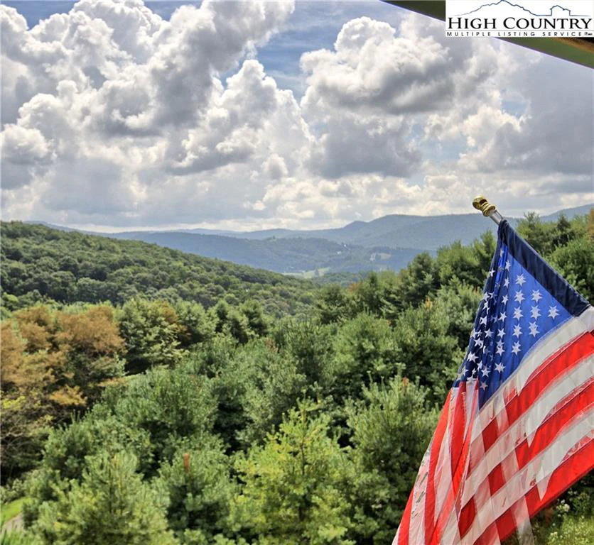 Image number 1 for the current listing