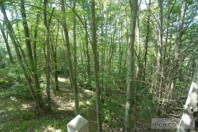 Image number 7 for the current listing