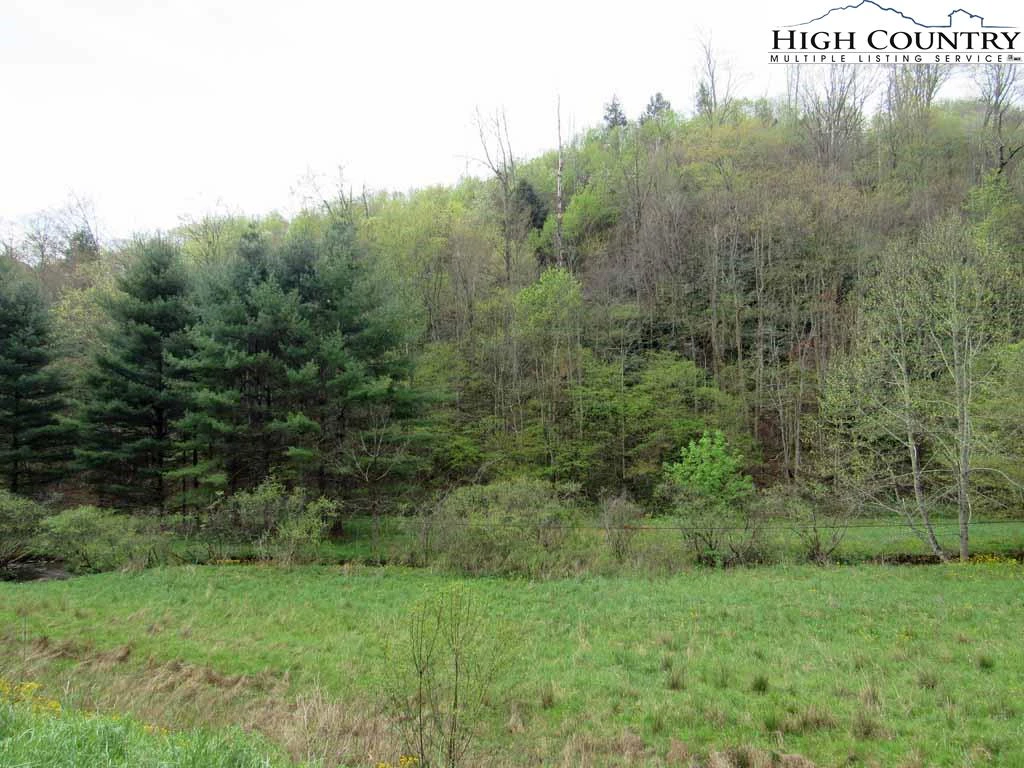 Image number 6 for the current listing