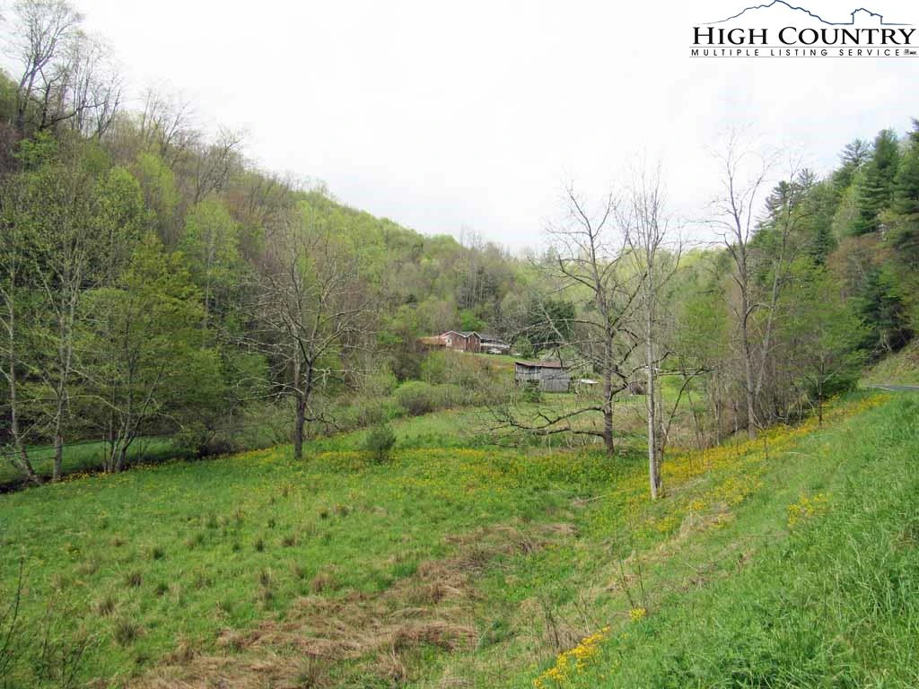 Image number 7 for the current listing