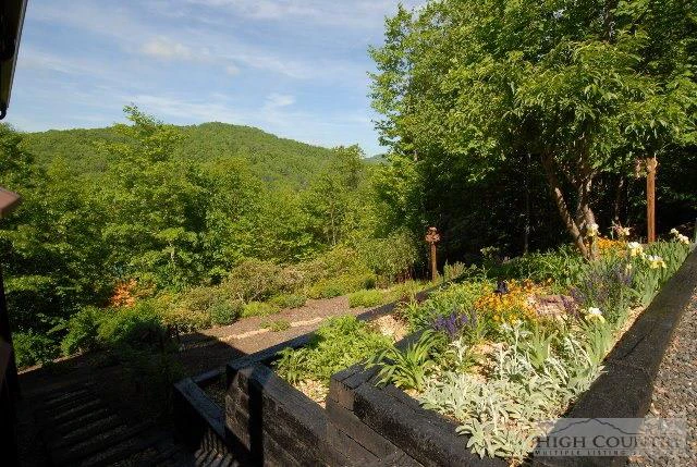 Image number 12 for the current listing