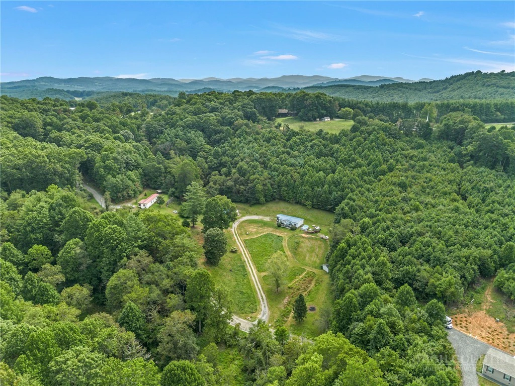 Image number 4 for the current listing