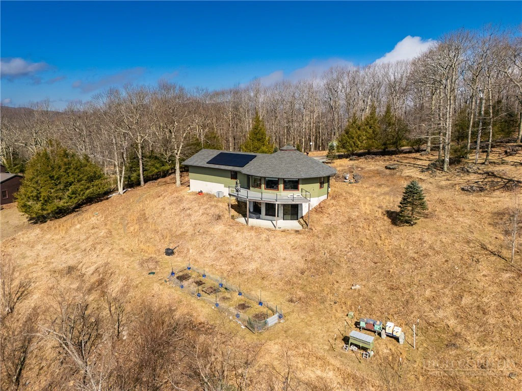 Image number 2 for the current listing