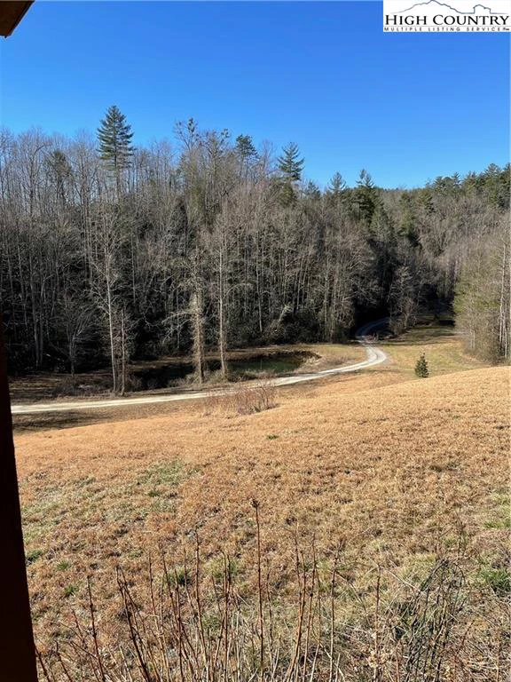 Image number 7 for the current listing