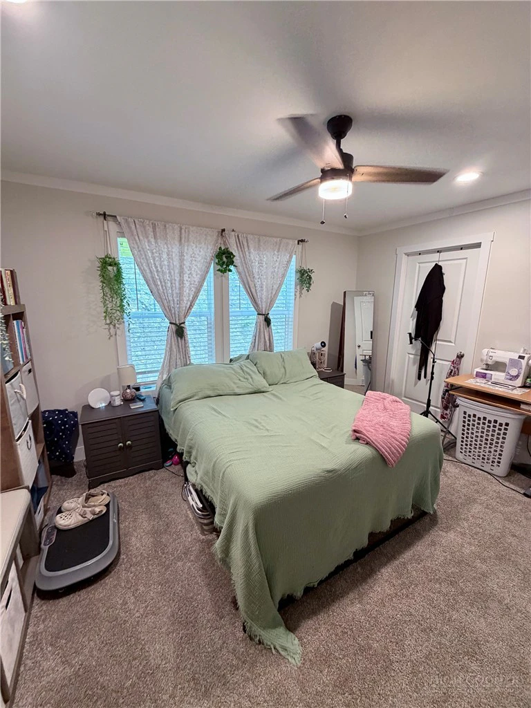 Image number 11 for the current listing
