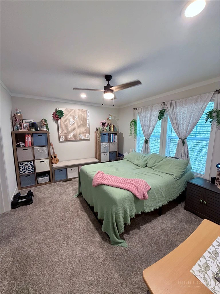 Image number 12 for the current listing
