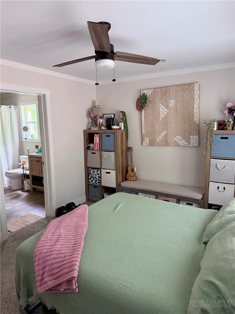 Image number 13 for the current listing