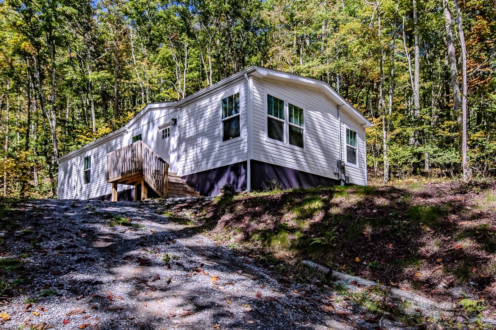 Image number 1 for the current listing