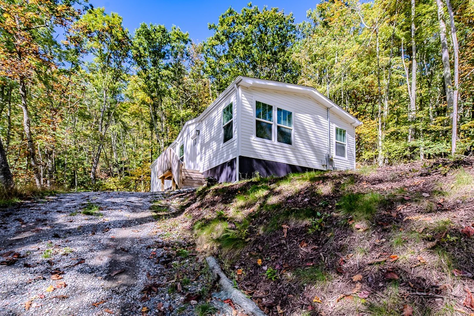Image number 2 for the current listing