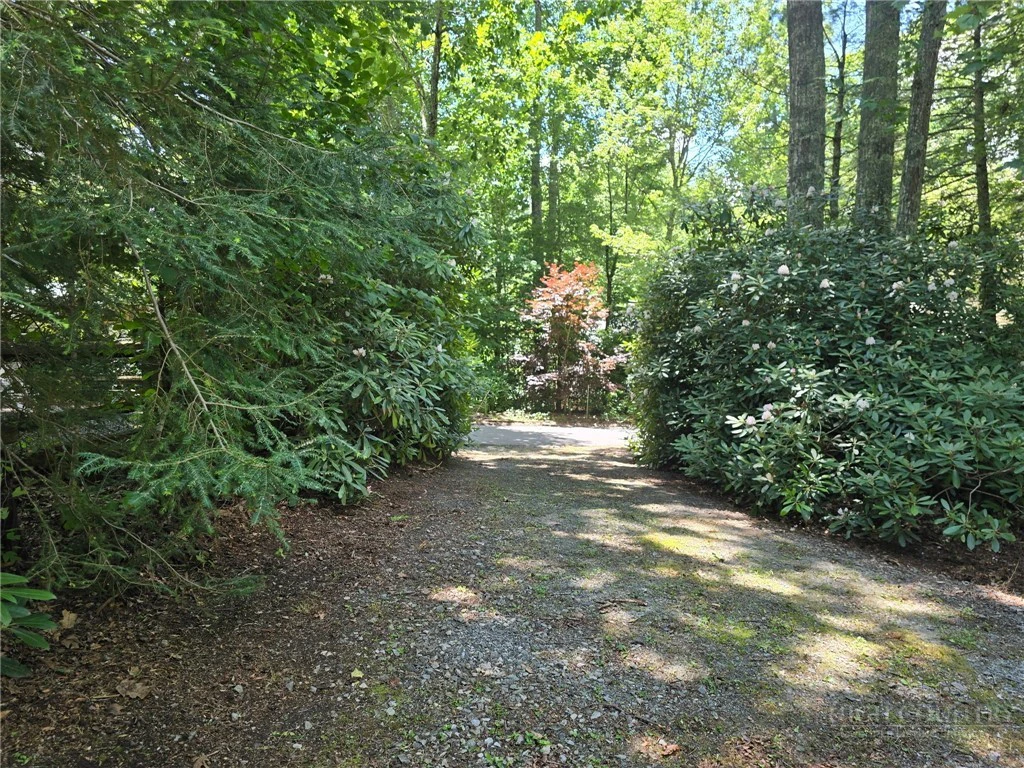 Image number 1 for the current listing