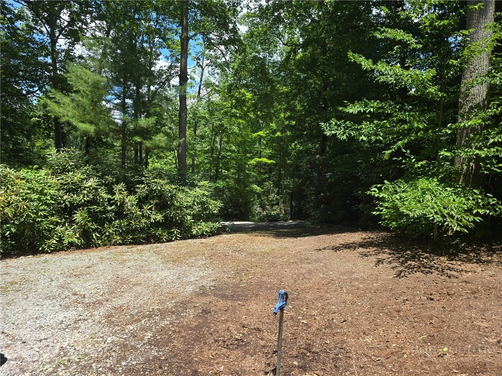 Image number 2 for the current listing