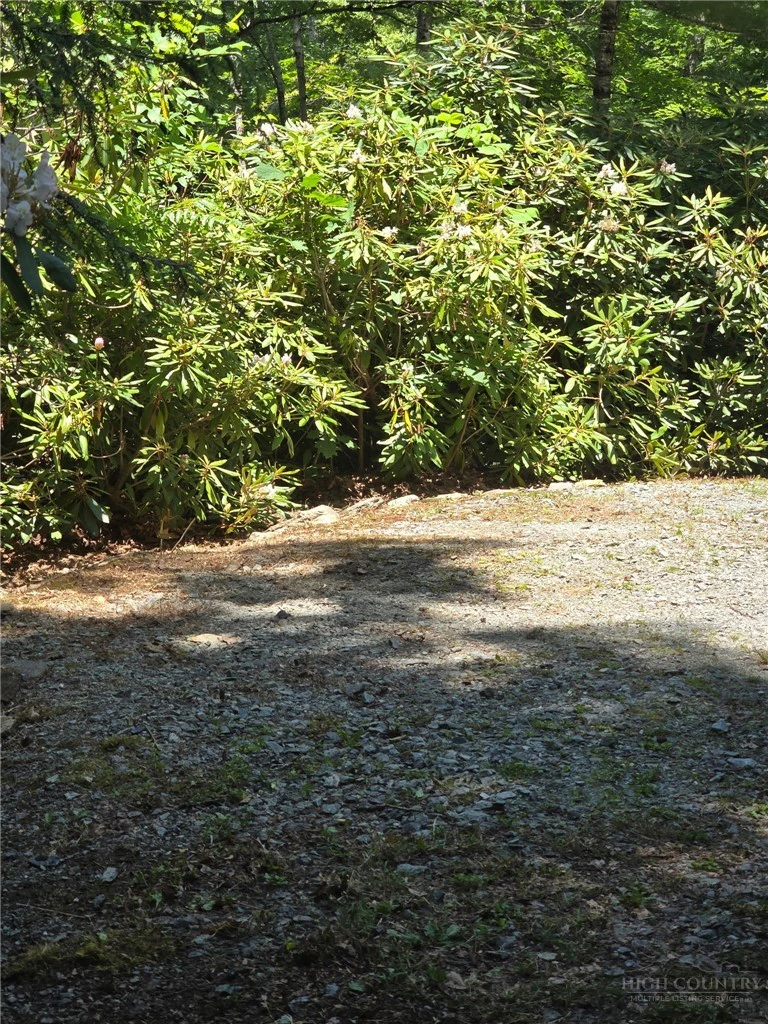 Image number 4 for the current listing