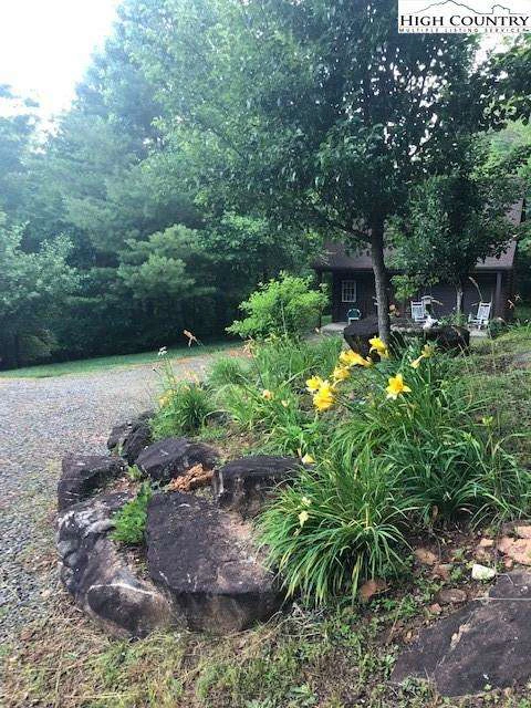 Image number 12 for the current listing