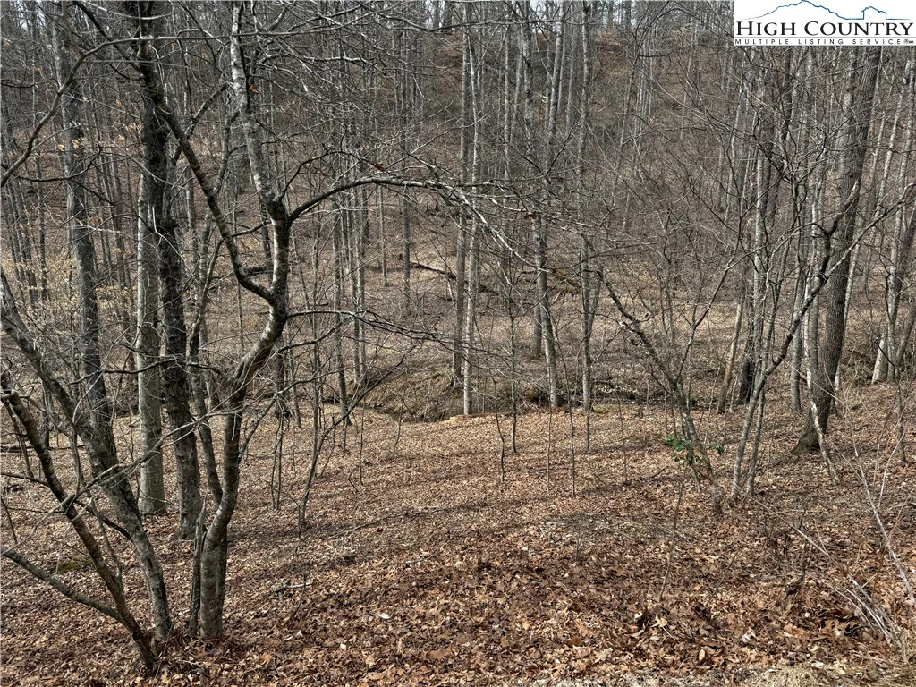 Image number 10 for the current listing