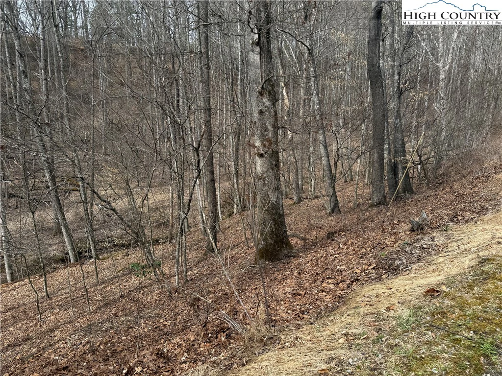 Image number 3 for the current listing