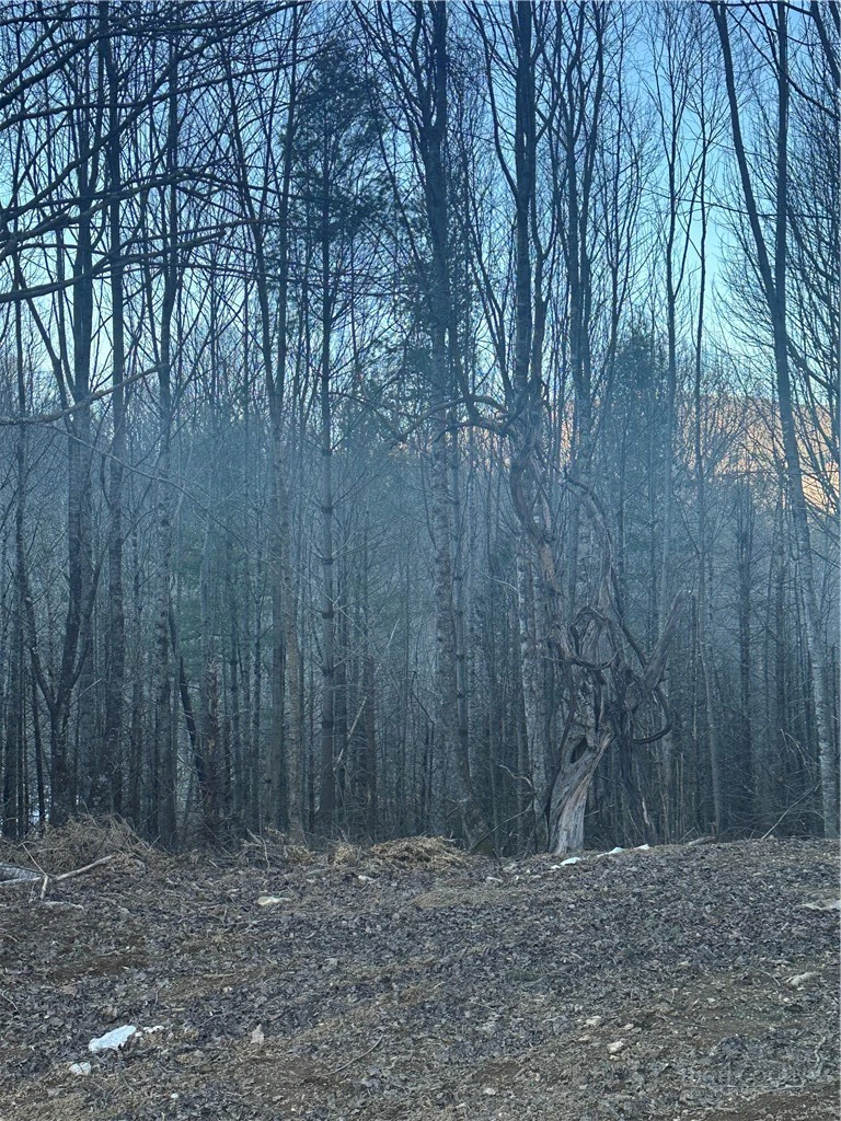 Image number 20 for the current listing