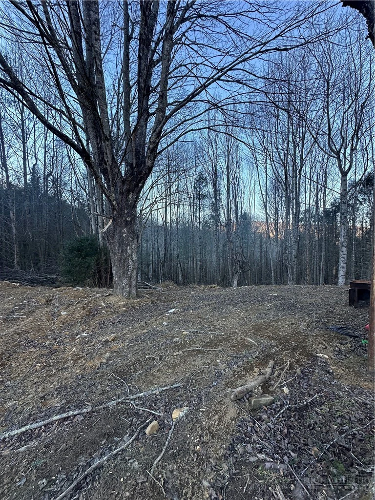 Image number 21 for the current listing