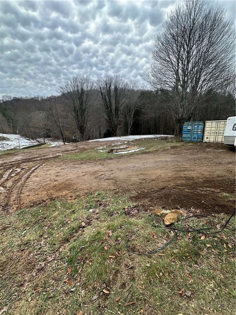 Image number 1 for the current listing