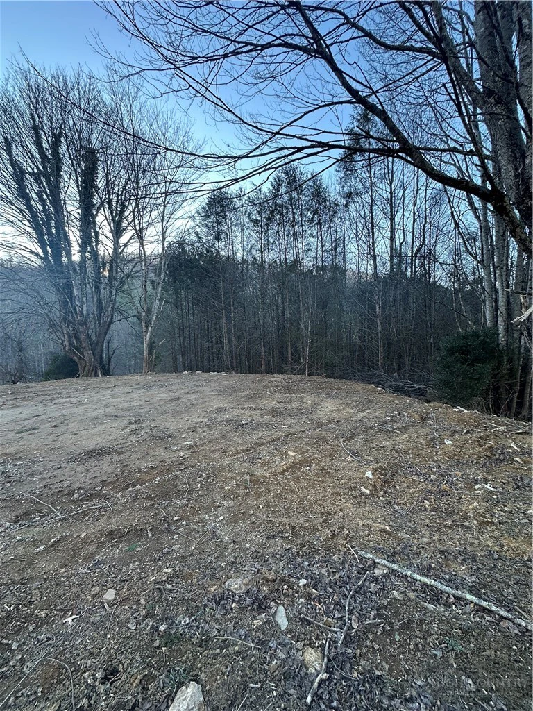Image number 17 for the current listing