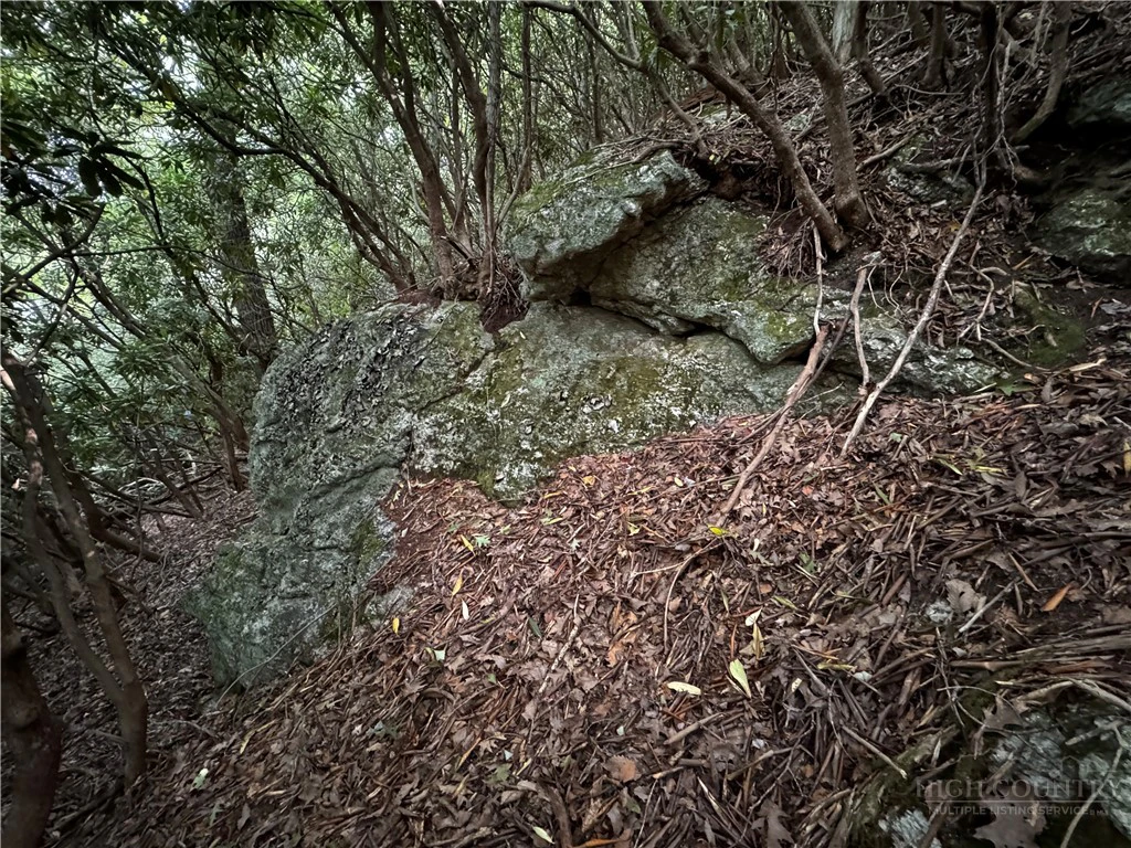 Image number 14 for the current listing