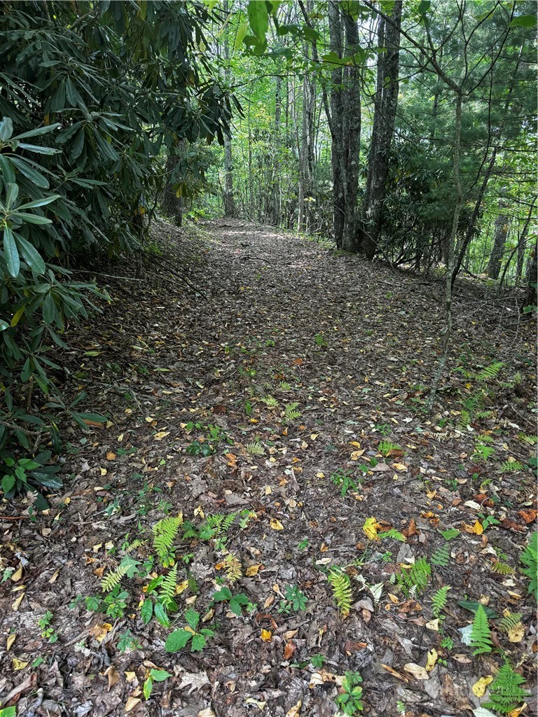 Image number 13 for the current listing