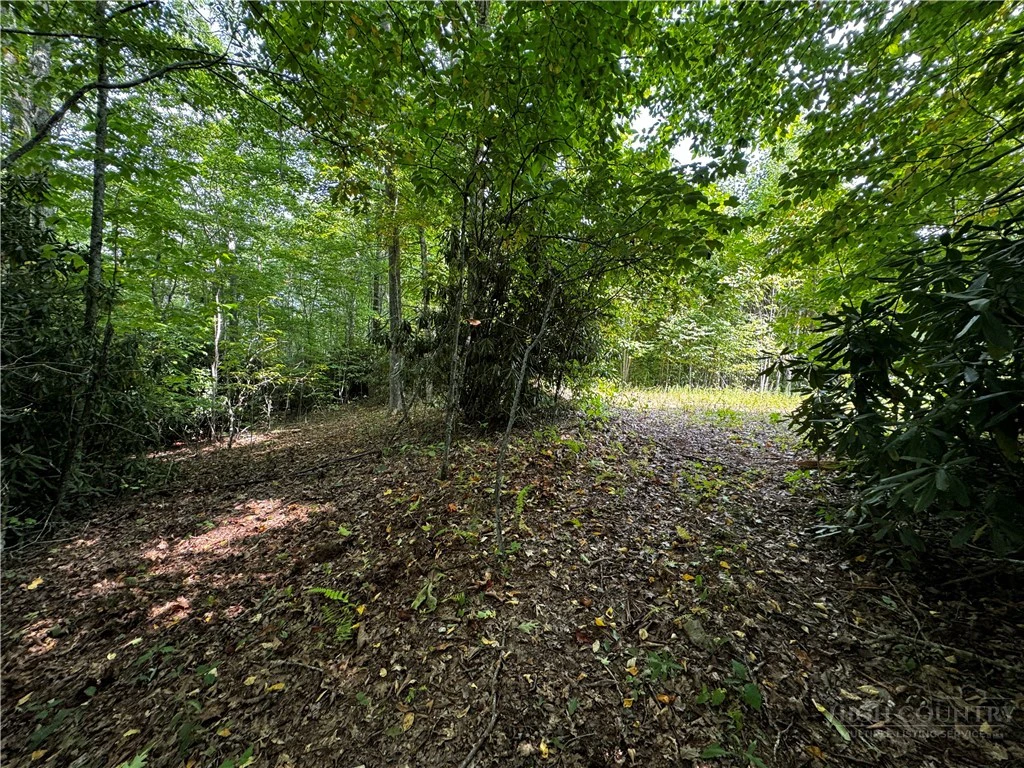 Image number 12 for the current listing