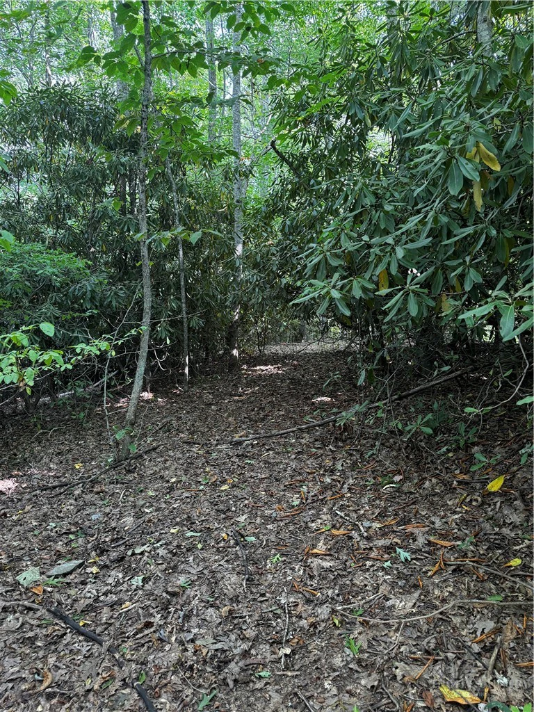 Image number 9 for the current listing