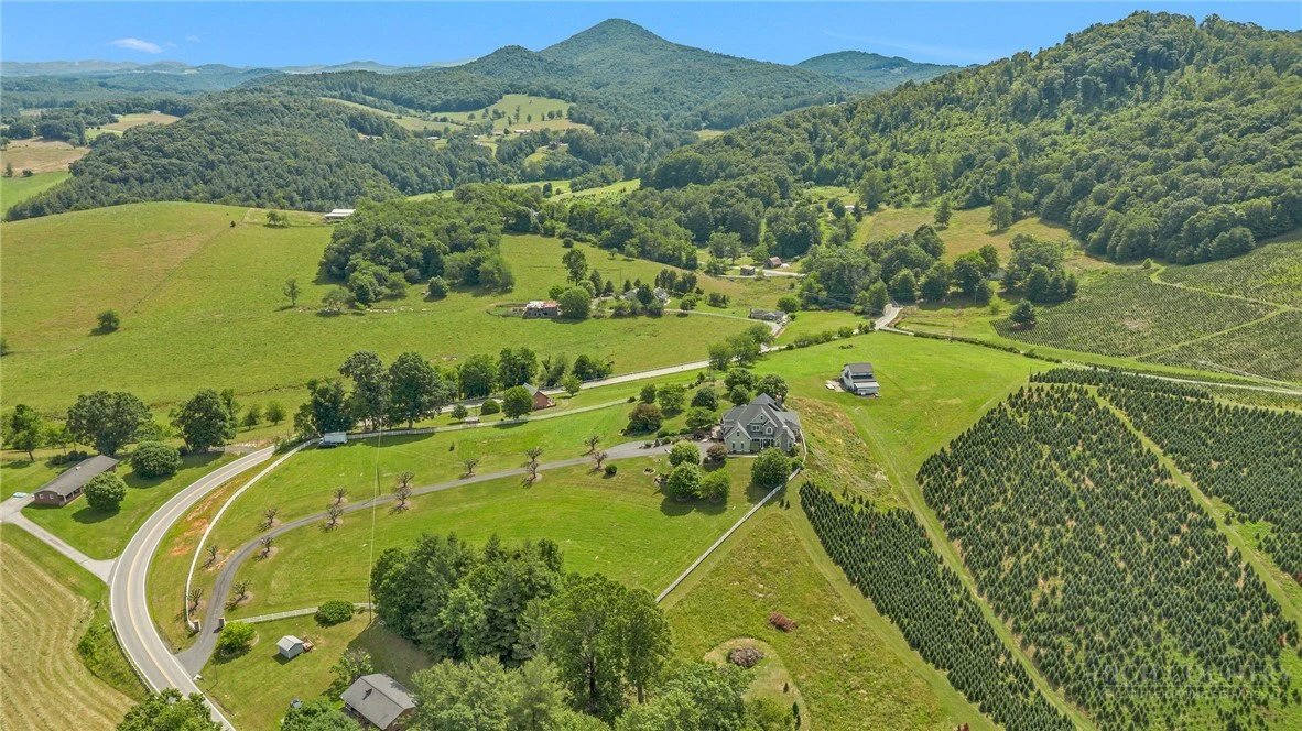 Image number 5 for the current listing