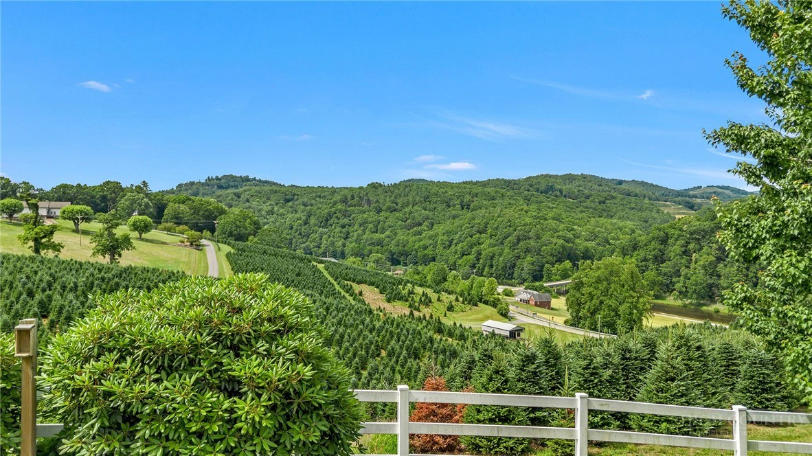 Image number 9 for the current listing