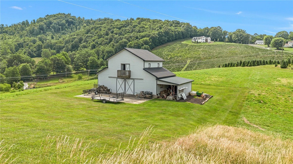 Image number 12 for the current listing