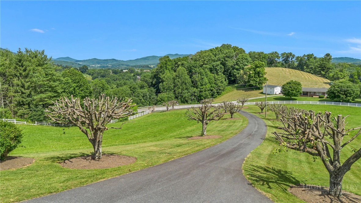 Image number 3 for the current listing