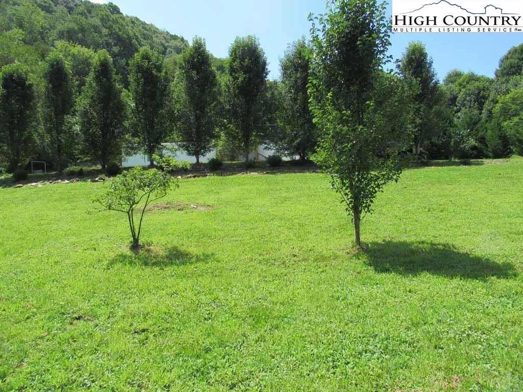 Image number 3 for the current listing