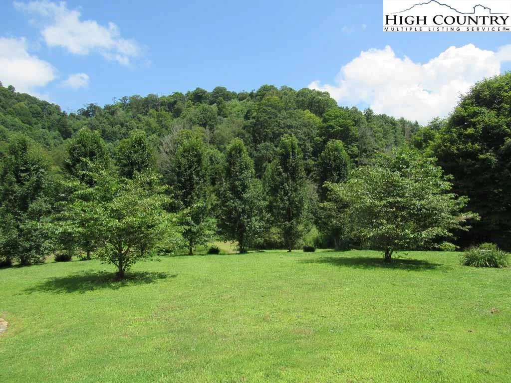 Image number 8 for the current listing