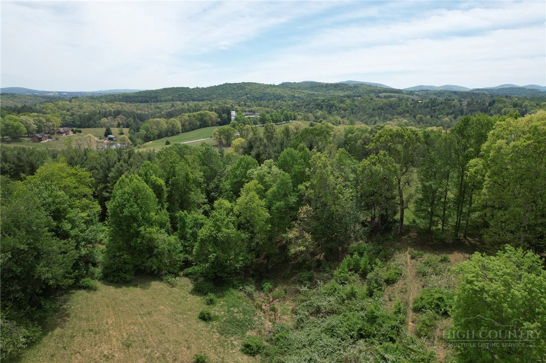 Image number 11 for the current listing