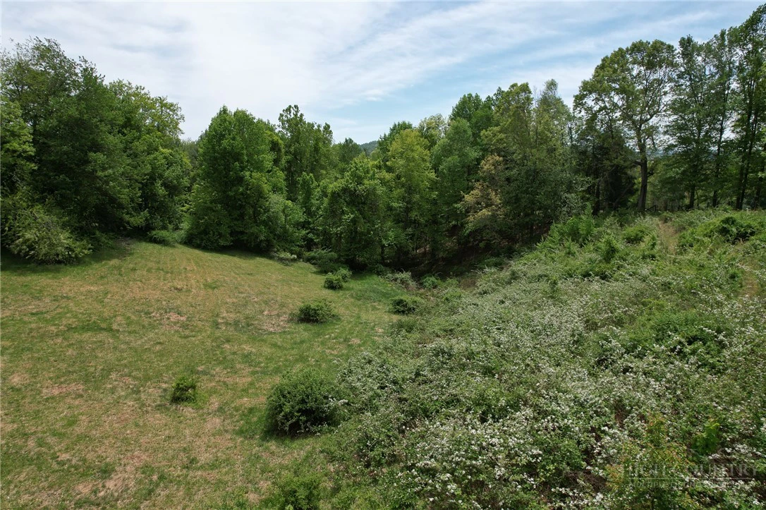 Image number 13 for the current listing