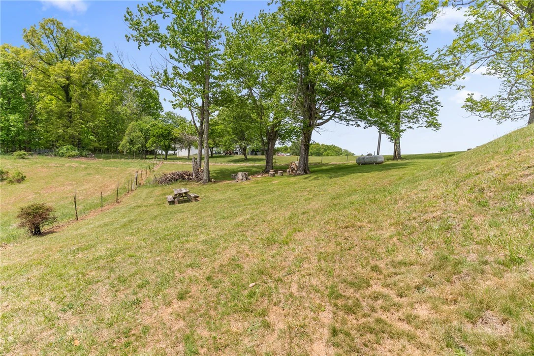 Image number 2 for the current listing