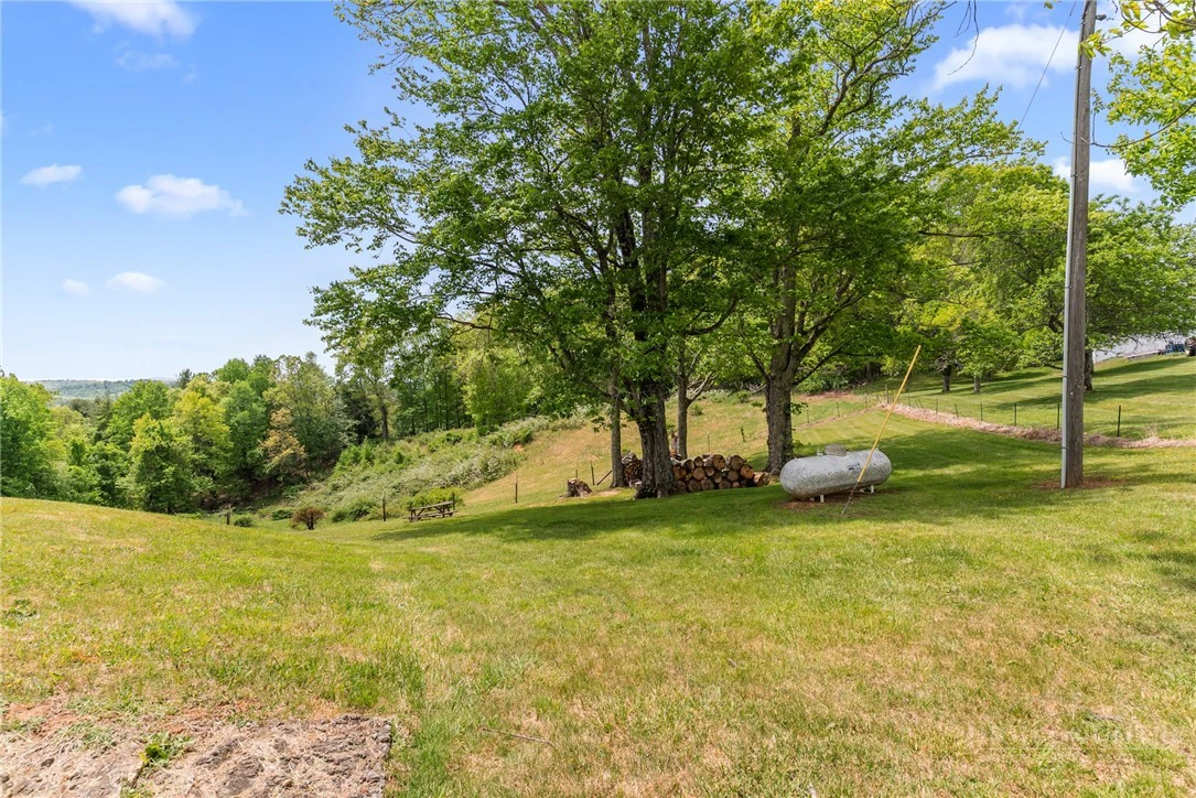 Image number 21 for the current listing