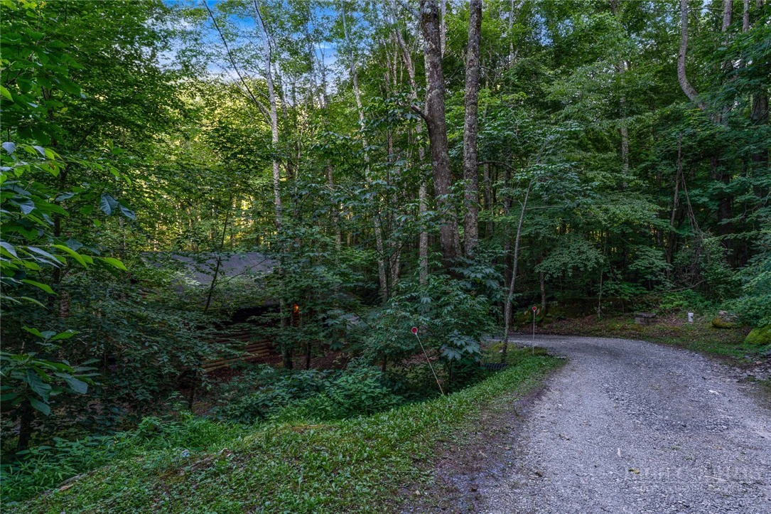 Image number 10 for the current listing