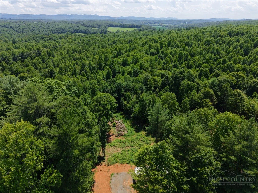 Image number 2 for the current listing
