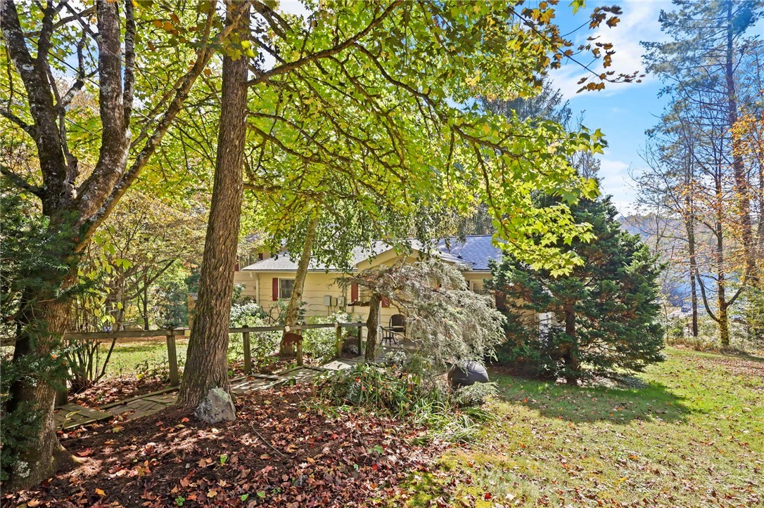 Image number 16 for the current listing