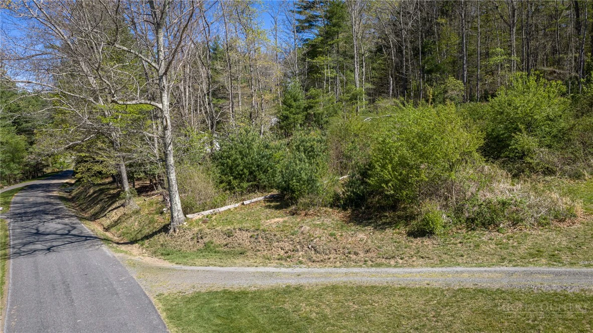 Image number 6 for the current listing